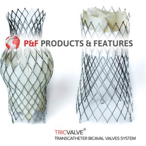 slide_Triclave03